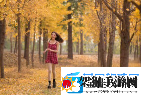 国产乱码免费卡1卡二卡3卡四卡