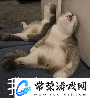三角洲行动“黑鹰坠落”关卡有点难