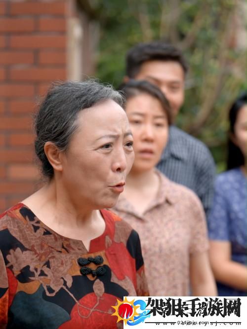 50岁阿姨大人免费观看电视剧