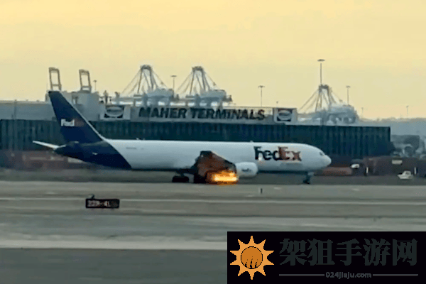 美国波音767飞机撞鸟后空中喷火