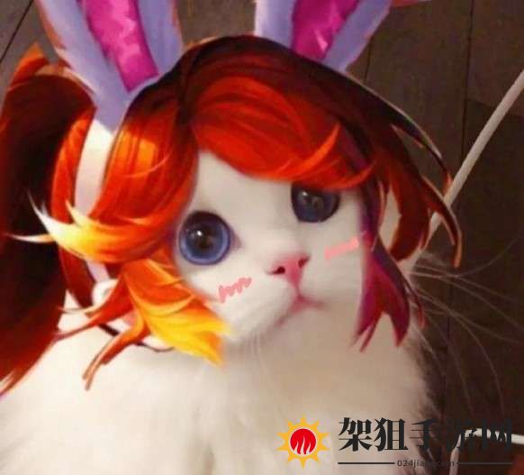 王者荣耀猫咪头像花木兰高清大图 头像猫咪花木兰原图无水印