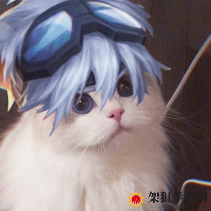 王者荣耀猫咪头像守约高清大图 头像猫咪百里守约原图无水印
